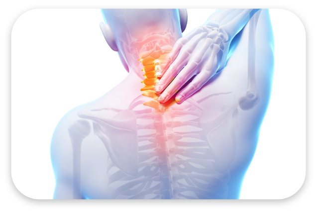 목/어깨 대표 이미지