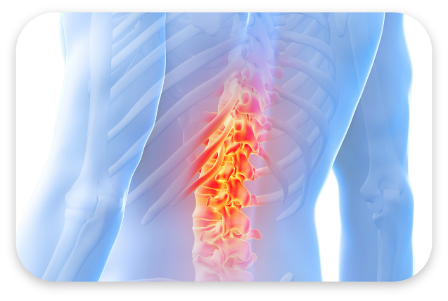 허리 대표 이미지